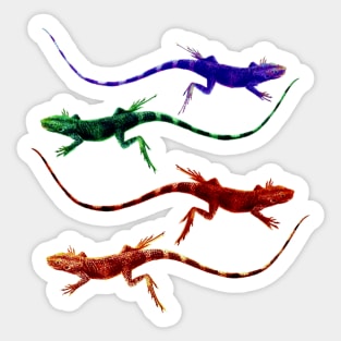 Lizard Rainbow Sticker